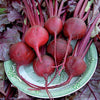 Handcrafted Bull's Blood Beet roots with deep red-purple tops and stems arranged on a decorative plate, featured in Farm, Garden & Tool and Seeds and Planting collections.
