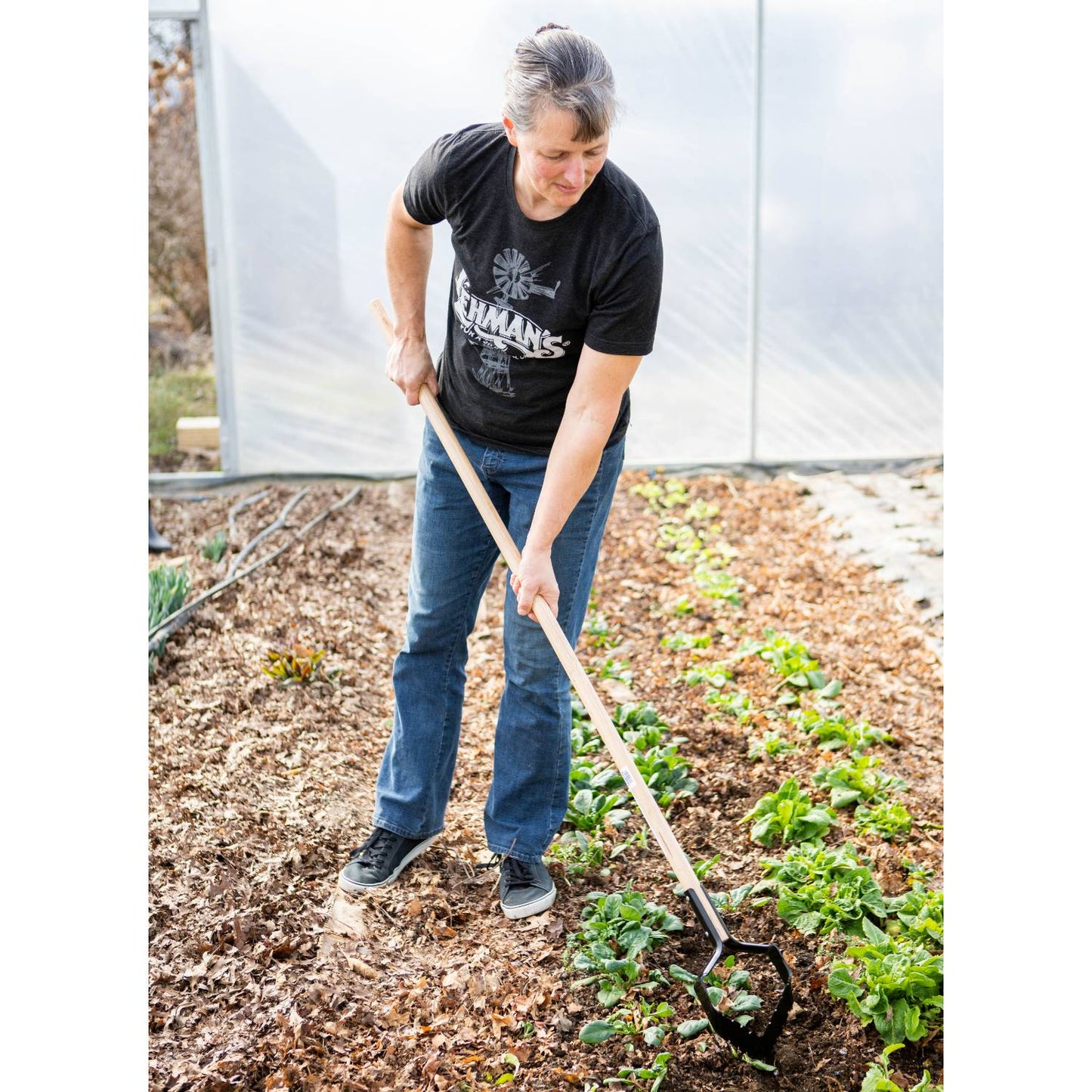 Woman using a handcrafted push-pull garden hoe with a long ash handle and hardened steel blade to cultivate soil and remove weeds in a greenhouse, part of Farm, Garden & Tool and USA Made collections