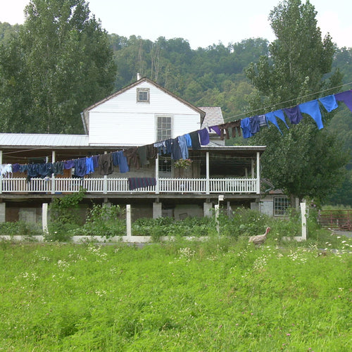 Long clothesline stretched between trees and posts in a rural setting, holding various dark-colored garments drying outdoors, reflecting a simple laundry setup in a natural home environment.