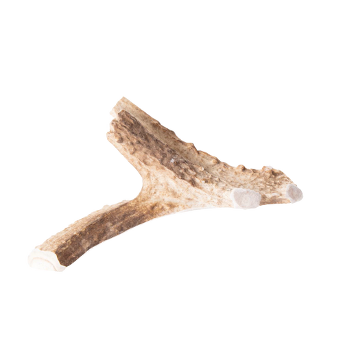 Natural split deer antler dog chew showcasing smooth, durable texture and clean cut ends, perfect for pets, featured in Pet Supplies, USA Made, and Best Sellers collections.