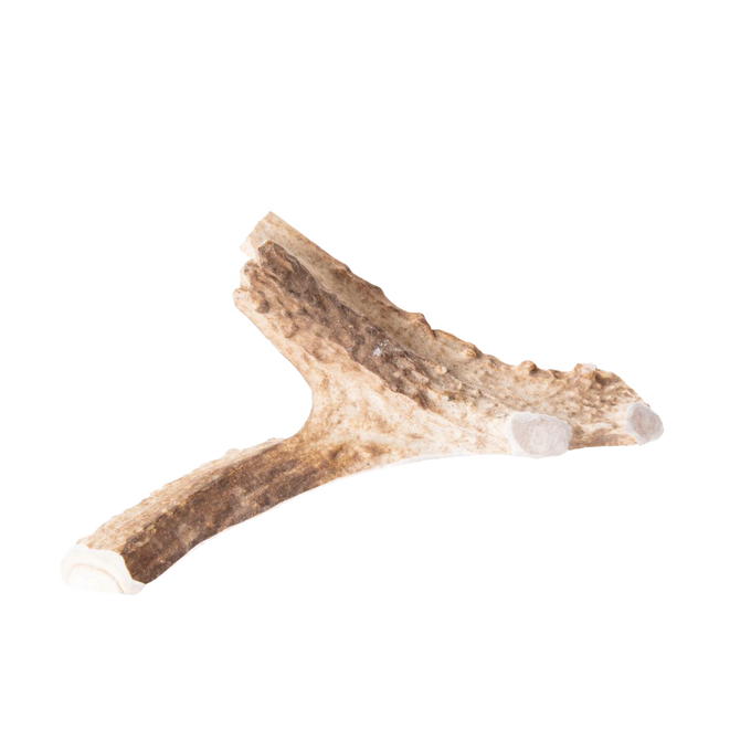 Natural split deer antler dog chew showcasing smooth, durable texture and clean cut ends, perfect for pets, featured in Pet Supplies, USA Made, and Best Sellers collections.