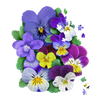Handcrafted shaped jigsaw puzzle featuring vibrant violets in purple, yellow, and white hues with green leaves, part of Toys, Children’s Toys, Games and Puzzles collections.