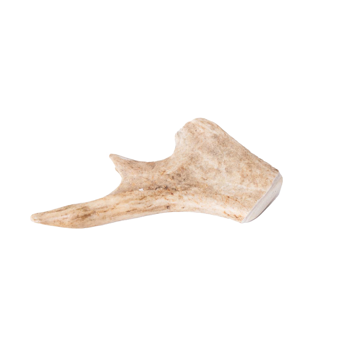 Handcrafted natural deer antler dog chew with a smooth, durable finish, providing a long-lasting, odor-free treat, featured in Pet Supplies, USA Made, Home & Decor, and Best Sellers collections.