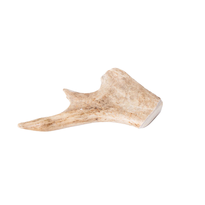 Handcrafted natural deer antler dog chew with a smooth, durable finish, providing a long-lasting, odor-free treat, featured in Pet Supplies, USA Made, Home & Decor, and Best Sellers collections.