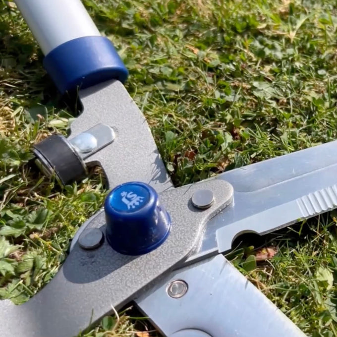 Close-up of lightweight hedge shears with chrome-plated, hardened carbon steel notched blades and blue handles resting on green grass, ideal for garden and lawncare tasks.