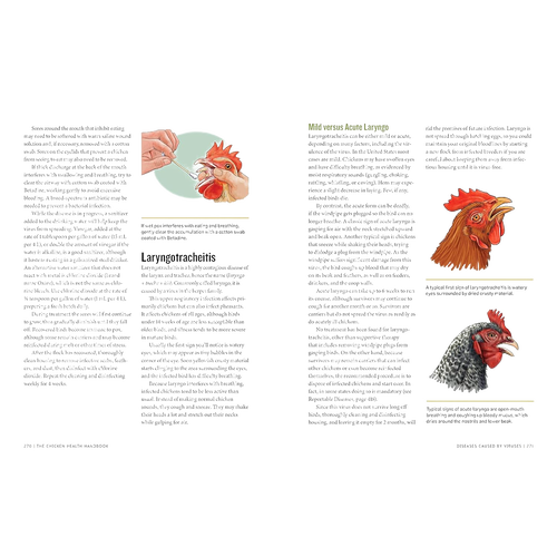Open book spread showing detailed text and full-color illustrations of chicken anatomy and health care techniques, part of Farm, Garden & Tool, Books, and Chicken Accessories collections.