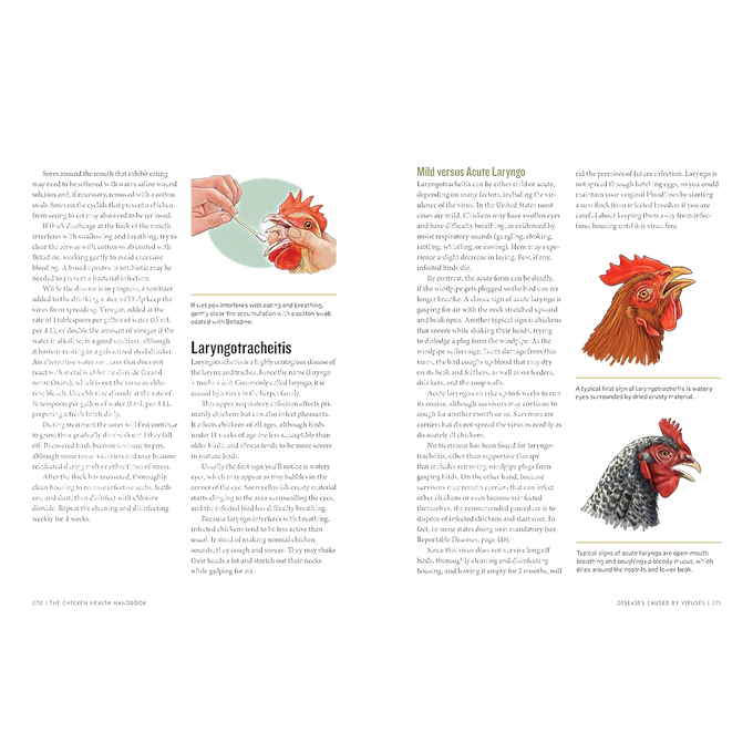 Open book spread showing detailed text and full-color illustrations of chicken anatomy and health care techniques, part of Farm, Garden & Tool, Books, and Chicken Accessories collections.