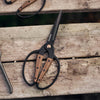 Handcrafted large gardening shears with polished stainless steel blades and wide walnut handles, designed for comfortable outdoor use with gloves in Farm, Garden & Tool and Garden Accessories collections.