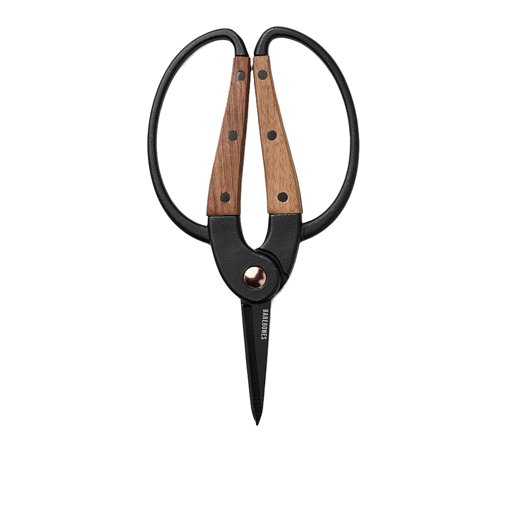 Small gardener's scissors with heat-treated stainless steel blades and wide walnut handles featuring ambidextrous grip, ideal for precise herb harvesting in Farm, Garden & Tool and Garden Accessories collections.