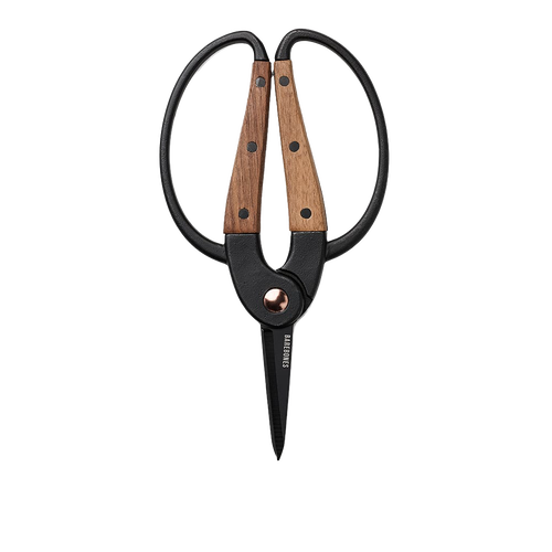 Small gardener's scissors with heat-treated stainless steel blades and wide walnut handles featuring ambidextrous grip, ideal for precise herb harvesting in Farm, Garden & Tool and Garden Accessories collections.