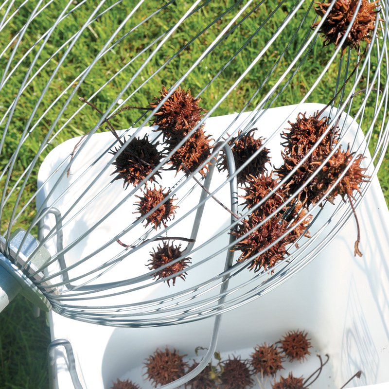 Handcrafted wire nut gatherer with wooden handle scooping spiky seed pods into a white bucket on green grass, designed for easy yard cleanup; in Farm, Garden & Tool, Lawncare, Best Sellers, Promo Eligible collections.