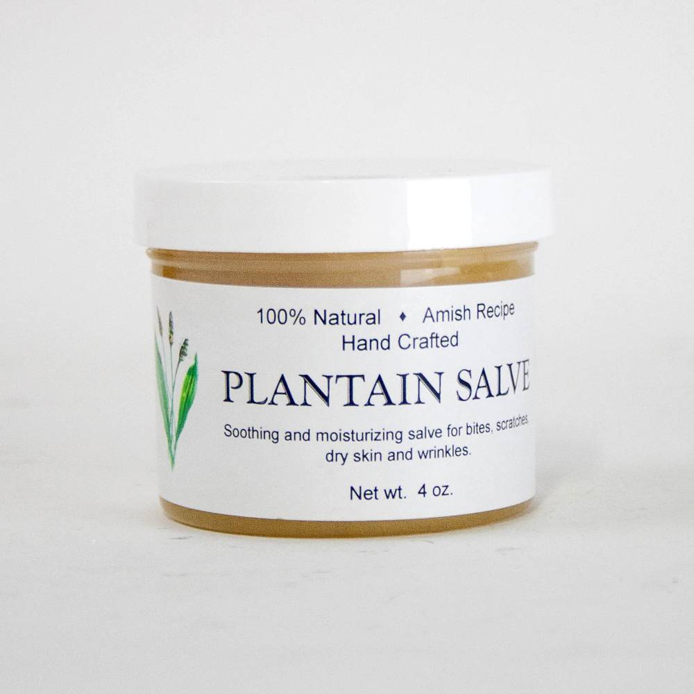 Small jar of handcrafted plantain salve made with an Amish recipe, featuring soothing and moisturizing properties for bites, scratches, and dry skin, USA made and health remedy favorite.