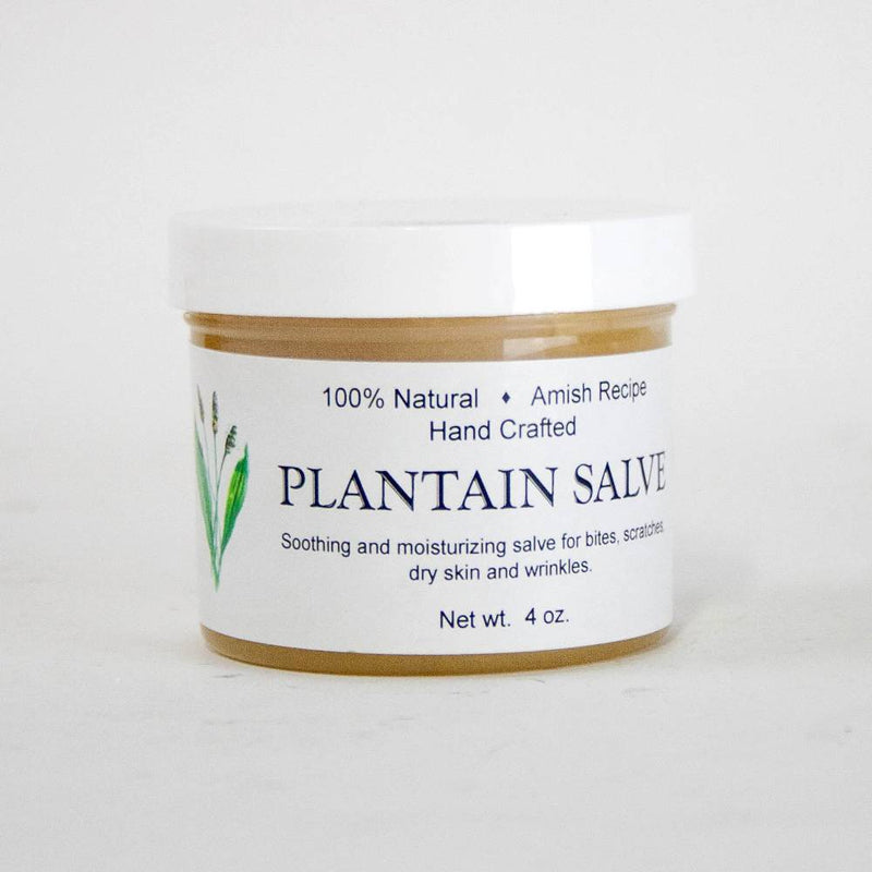 Small jar of handcrafted plantain salve made with an Amish recipe, featuring soothing and moisturizing properties for bites, scratches, and dry skin, USA made and health remedy favorite.