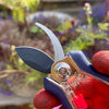 Close-up of handcrafted garden pruning shears with sharp blades and ergonomic handles, suitable for Farm, Garden & Tool, Garden Accessories, and Lawncare collections.