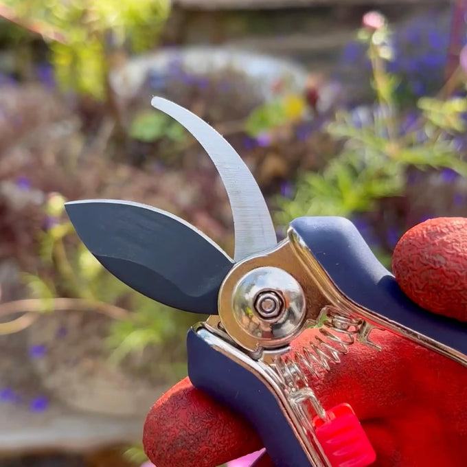 Close-up of handcrafted garden pruning shears with sharp blades and ergonomic handles, suitable for Farm, Garden & Tool, Garden Accessories, and Lawncare collections.