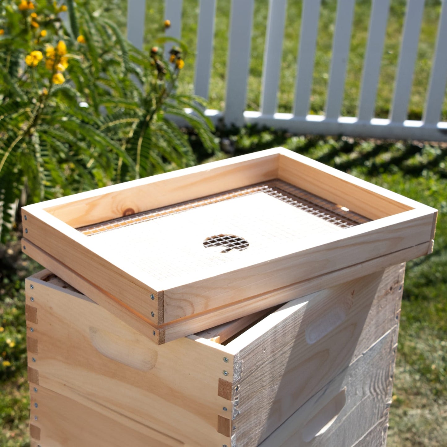 Handcrafted 8-frame candy board feeder made in the USA, Amish crafted from natural wood with wire mesh for hive moisture control, perfect for beekeeping and farm garden use.