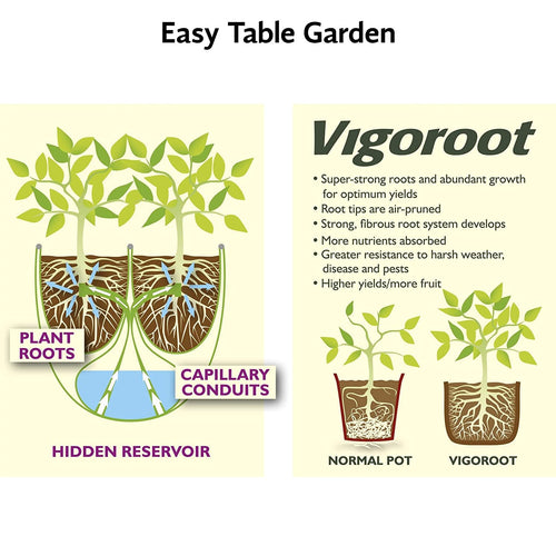 Illustration showing plant roots growing into a hidden water reservoir via capillary conduits for self-watering, compared with stronger root growth in Vigoroot container versus a normal pot, featured in Farm, Garden & Tool and Garden Accessories collections.