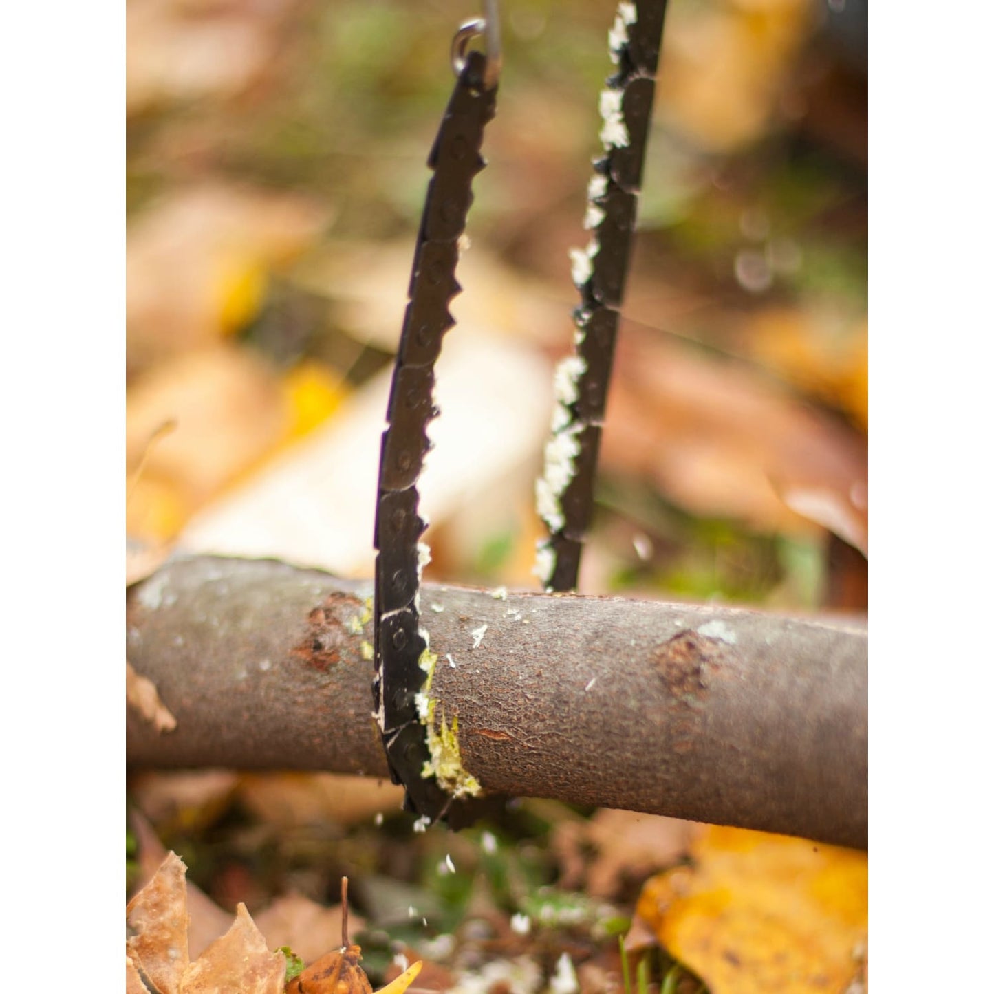 Close-up of a compact pocket chain saw cutting through a fallen tree branch outdoors, designed for quick and efficient wood cutting in camping and farm tool collections.