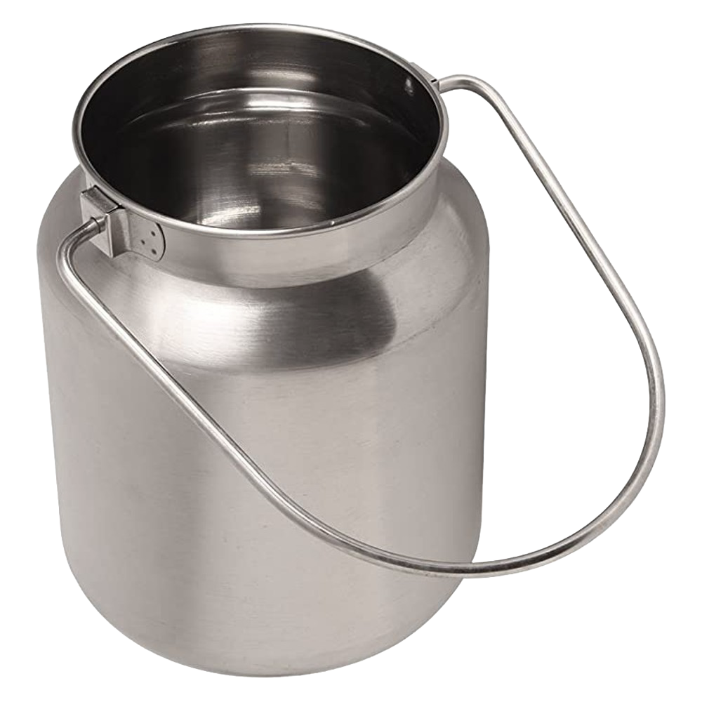 Handcrafted stainless steel 1-gallon milk can with a brushed finish and welded bail tabs, suitable for Home & Decor, Farm, Garden & Tool, Animal Care, and Best Sellers collections.