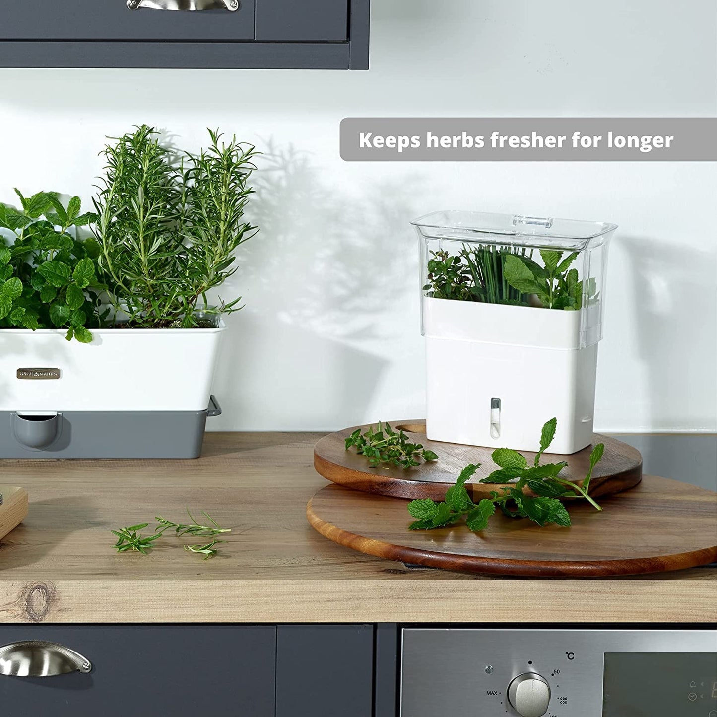 White and clear fresh-cut herb keeper with removable dividers and refill window, holding green herbs on a wooden kitchen countertop in a modern kitchen setting, Kitchen & Food and Kitchen Gadgets collections.