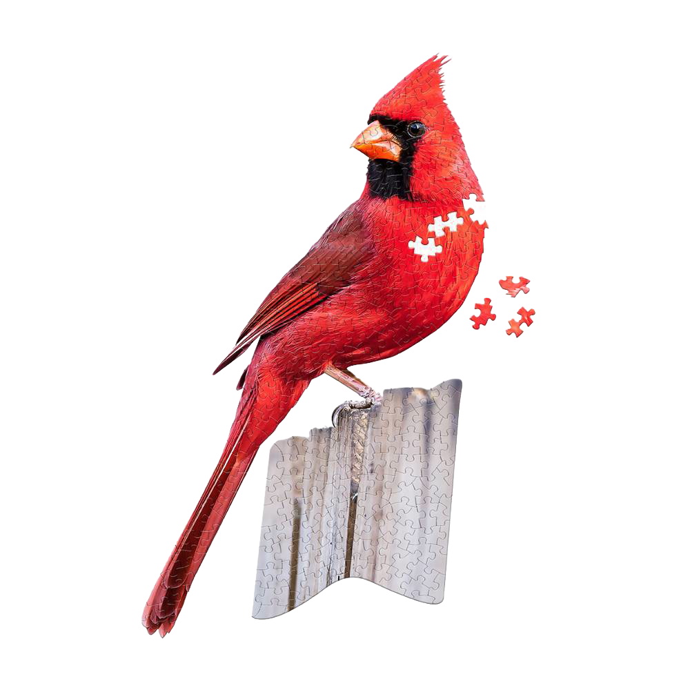 Bright red cardinal bird perched on a puzzle-shaped base with several puzzle pieces floating nearby, part of Toys, Books & Games and Puzzles collections.