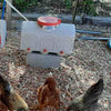 Large beige chicken waterer with red lid and three drinking ports, elevated on a block in a fenced outdoor pen, featured in Farm, Garden & Tool and Chicken Accessories collections.