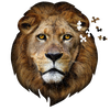 Intricately designed 300-piece lion-shaped jigsaw puzzle with detailed facial features, featuring a unique border and educational fun facts, ideal for children's games and puzzles collections.