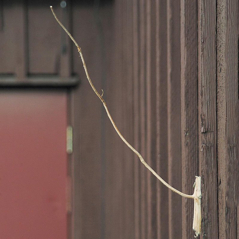 Slim Weatherstick made of balsam fir mounted on rustic wooden wall, handcrafted to indicate upcoming weather changes, part of Farm, Garden & Tool, Garden Accessories, USA Made, and Best Sellers collections.