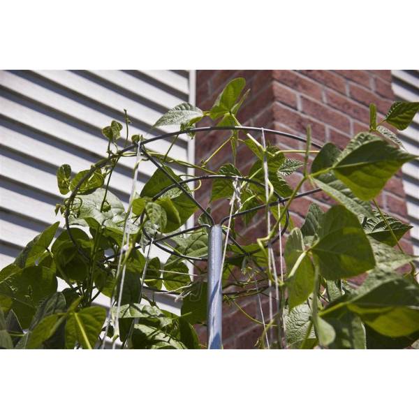 Handcrafted vertical metal bean trellis supporting vibrant green climbing pole beans against a brick and siding wall, featured in Farm, Garden & Tool, Seeds and Planting, USA Made, Best Sellers, and Promo Eligible collections.