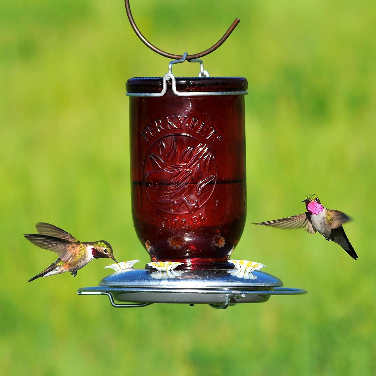 Red tinted mason jar hummingbird feeder with metal feeding base featuring flower-shaped nectar ports, attracting hummingbirds in a bright garden, ideal for Farm, Garden & Tool and Animal Care collections.