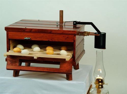 Handcrafted Amish-made wooden kerosene-powered egg incubator with eggs inside, designed for Farm, Garden & Tool, Animal Care, Chicken Accessories, USA Made, and Best Sellers collections.