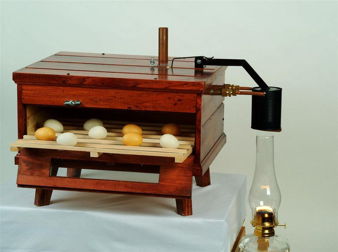 Handcrafted Amish-made wooden kerosene-powered egg incubator with eggs inside, designed for Farm, Garden & Tool, Animal Care, Chicken Accessories, USA Made, and Best Sellers collections.