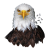 Handcrafted shaped eagle head jigsaw puzzle with 550 pieces, featuring a unique border and vibrant detailed image, perfect for Toys, Games, and Best Sellers collections.