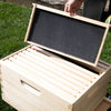 Amish-crafted 10-frame beehive box with removable frame showing honeycomb foundation, set outdoors on grass for Farm, Garden & Tool, 10-Frame Hives and Beekeeping Supplies collections.
