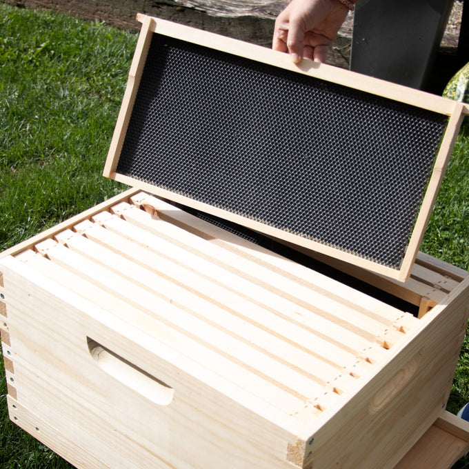 Amish-crafted 10-frame beehive box with removable frame showing honeycomb foundation, set outdoors on grass for Farm, Garden & Tool, 10-Frame Hives and Beekeeping Supplies collections.