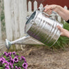 Hands holding a small galvanized watering can with a seamless zinc finish, watering vibrant purple petunias outdoors in a garden setting, ideal for Farm, Garden & Tool collections