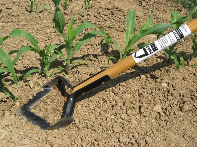 Push-pull hoe with a long ash handle and serrated hardened steel blade, handcrafted in the USA, used for cultivating soil and removing weeds in farm and garden settings.