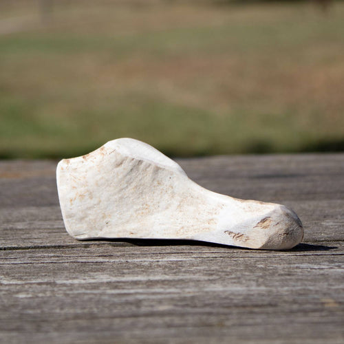 Natural split deer antler dog chew resting on weathered wood, highlighting its durable, splinter-free texture, perfect for pet supplies in USA Made and Best Sellers collections.