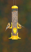 Clear poly tube feeder with bright yellow feeding ports and top, holding seeds and attracting two small finches, ideal for garden and animal care enthusiasts.
