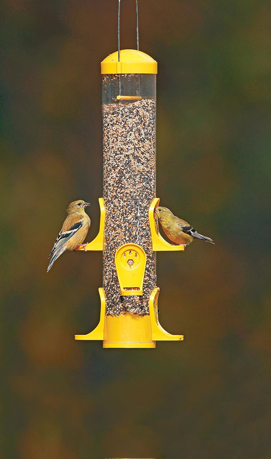 Clear poly tube feeder with bright yellow feeding ports and top, holding seeds and attracting two small finches, ideal for garden and animal care enthusiasts.