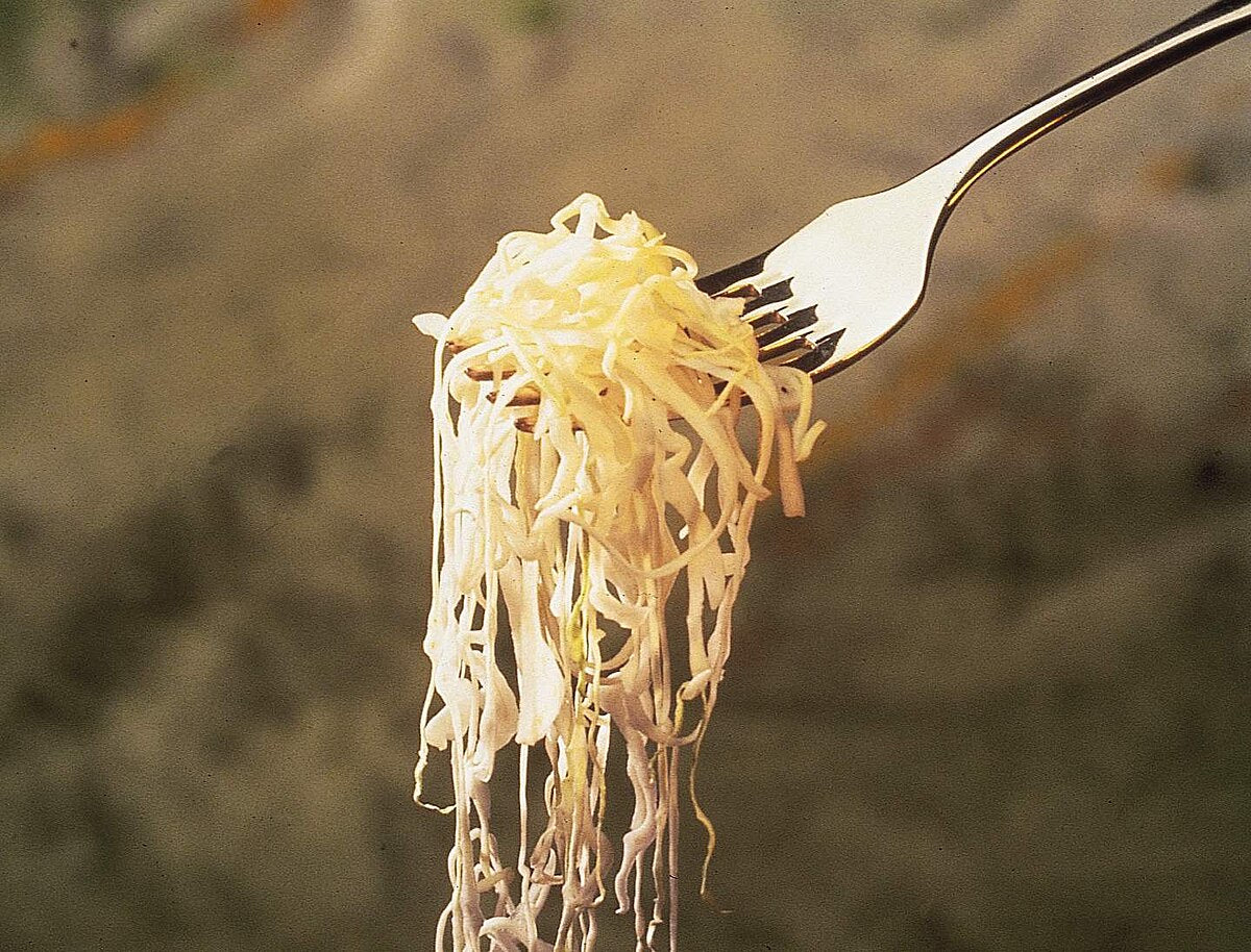 Fork holding a tangled bite of homemade sauerkraut strands against a blurred neutral background, illustrating traditional fermentation and preserving techniques in farm and garden culture.