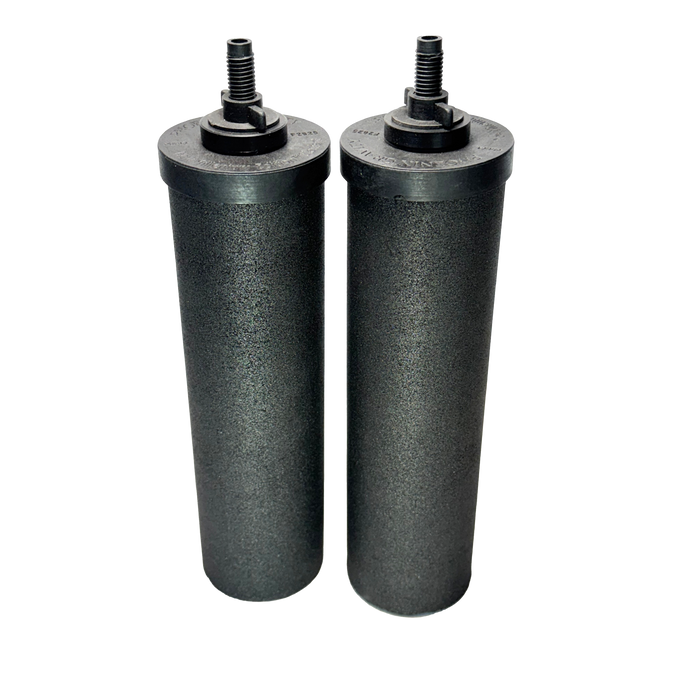 Pair of black synthetic water filter elements designed for Berkey systems, ideal for Appliances, Water Heating and Treatment, and Best Sellers collections.