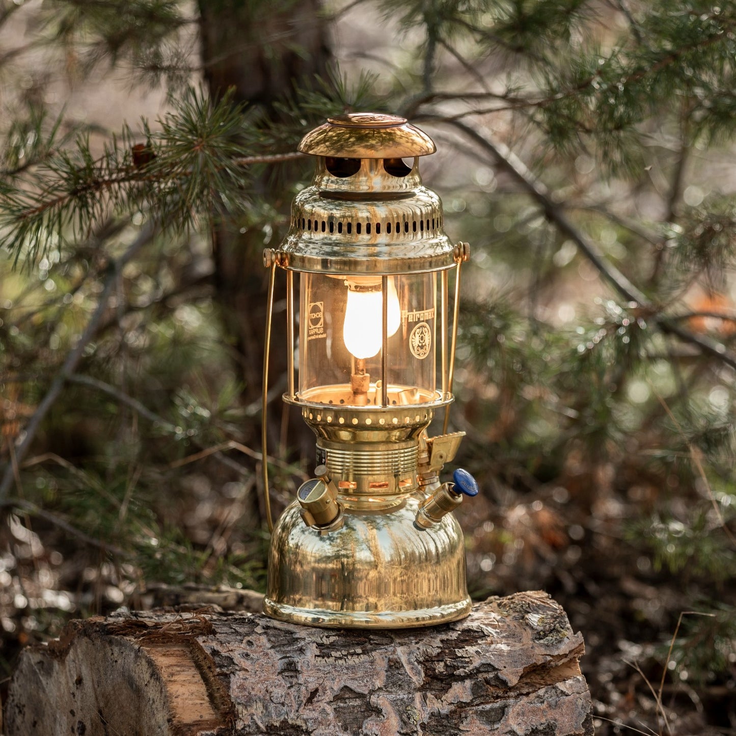 Polished brass kerosene pressure lamp glowing warmly on a log in a forest setting, designed for reliable lighting in camping, farm, garden, and emergency situations.