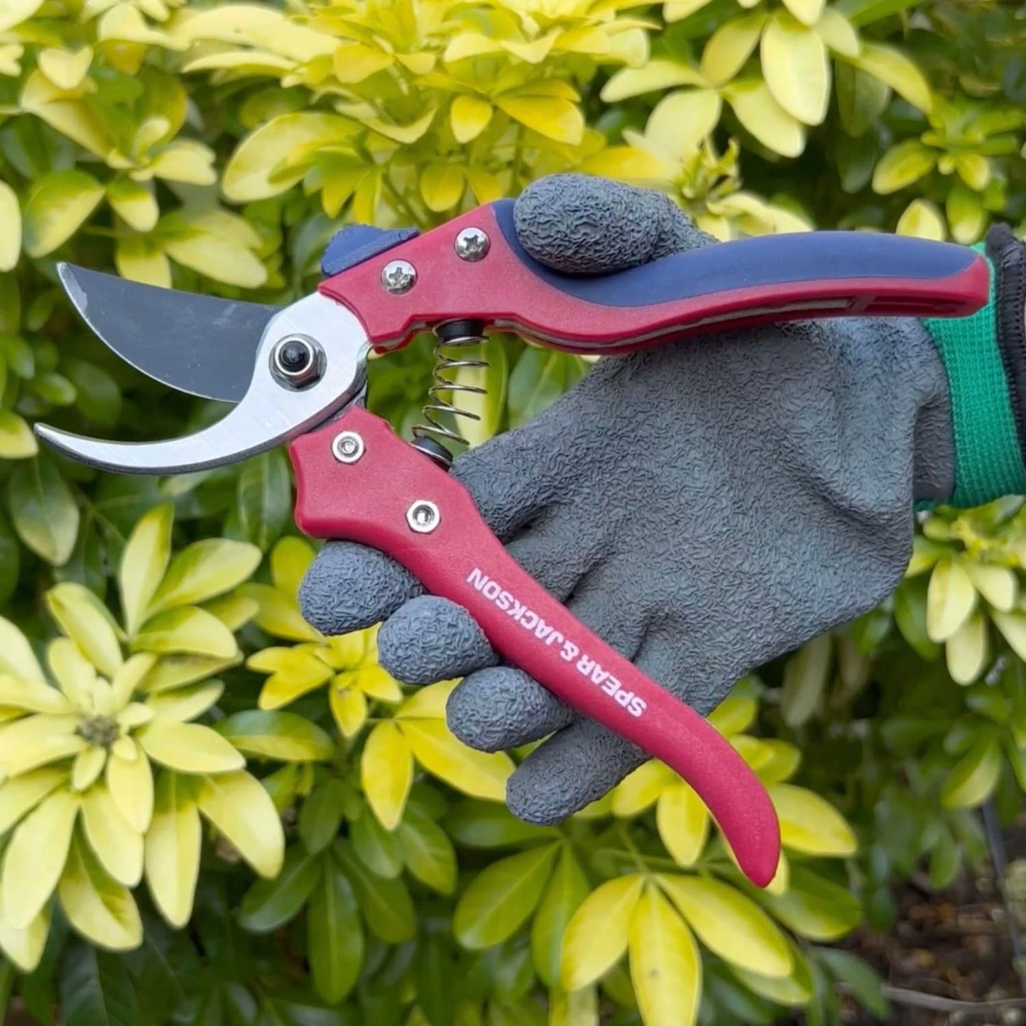 Gloved hand holding Spear & Jackson Razorsharp bypass pruning shears with ergonomic red handles and sharp SK5 carbon steel blades, perfect for Farm, Garden & Tool, Garden Accessories, Lawncare, Best Sellers, and Promo Eligible collections.