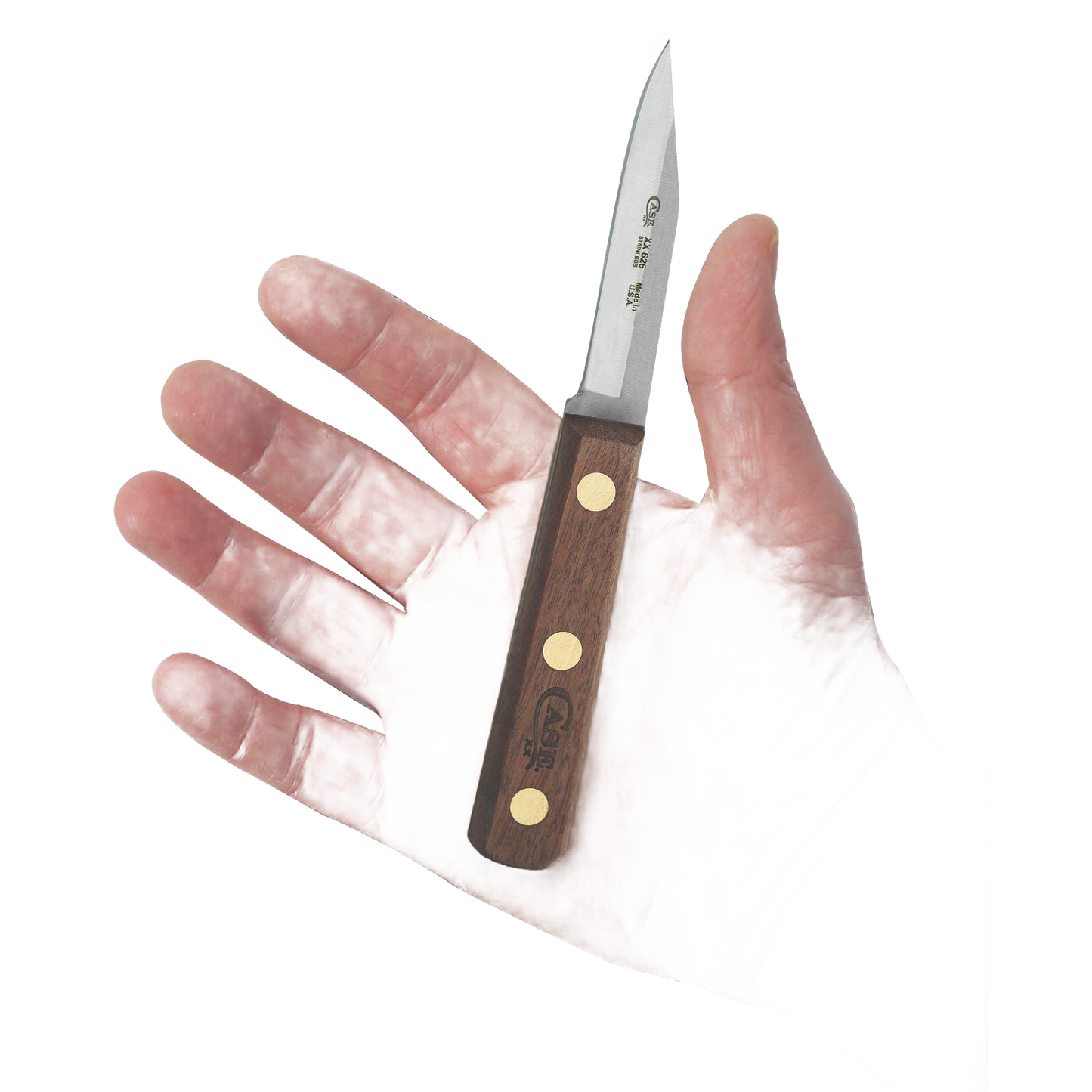 Handheld 3-inch paring knife with a sharp clip point blade and wooden handle featuring three brass rivets, handcrafted and made in USA, suitable for kitchen prep and food tasks.