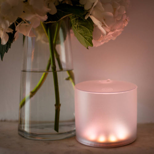 Soft warm glowing Luci Color Essence Solar Light casting ambient illumination next to a glass vase with white flowers, perfect for cozy indoor Farm, Garden & Tool and Lamps & Lighting settings.