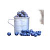 Rustic metal measuring cup filled with fresh blueberries beside a partial view of a scenic magnet featuring an inspiring Bible verse, ideal for Home & Decor, Best Sellers, and Promo Eligible collections.