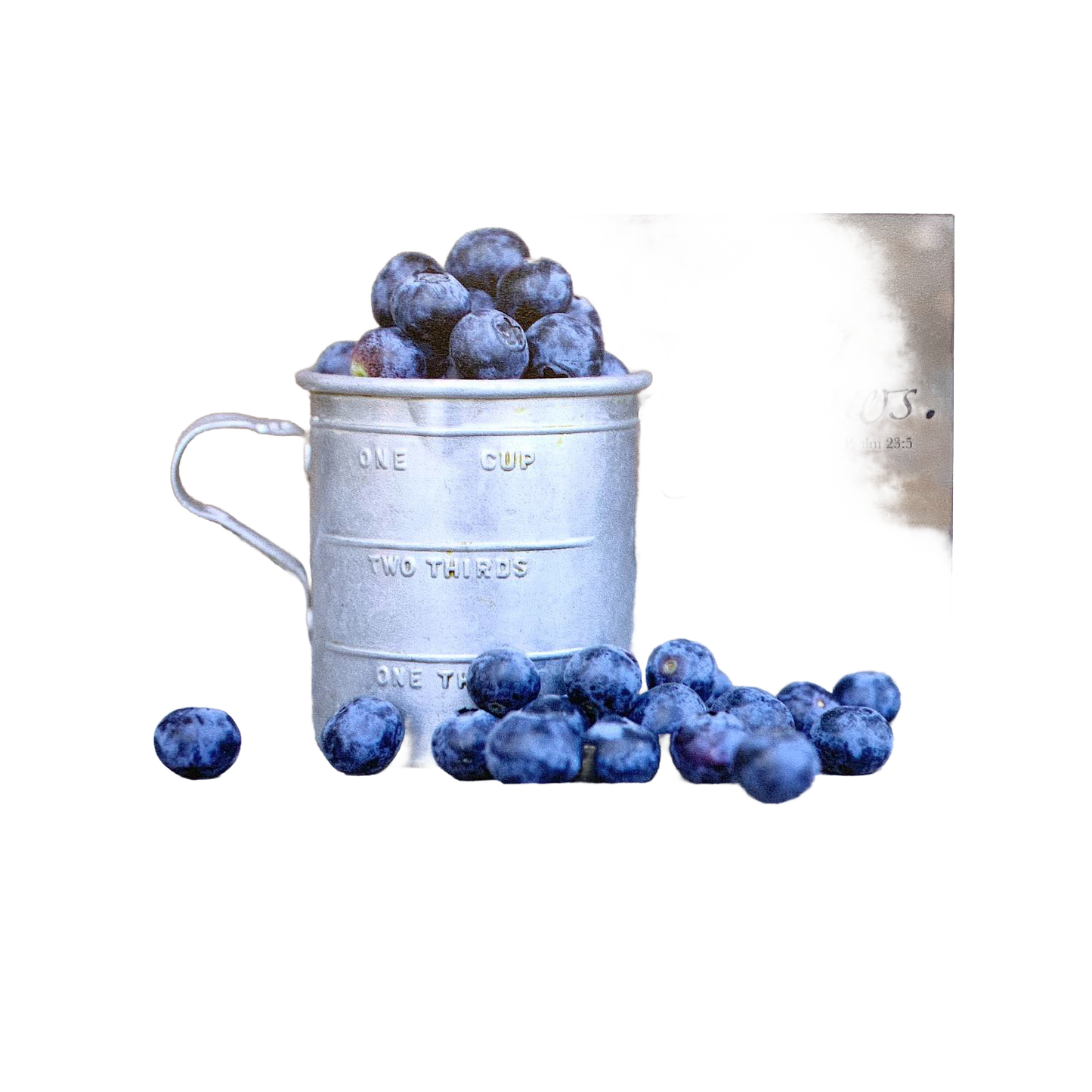 Rustic metal measuring cup filled with fresh blueberries beside a partial view of a scenic magnet featuring an inspiring Bible verse, ideal for Home & Decor, Best Sellers, and Promo Eligible collections.