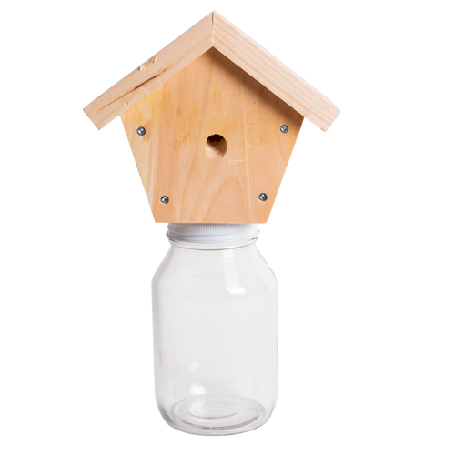 Handcrafted natural pine wood trap with a small hole mounted atop a clear glass jar, designed for outdoor pest control, Amish made in the USA, part of farm and garden collections.