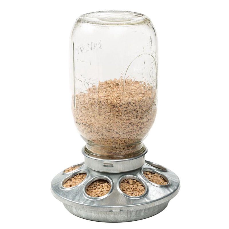 Galvanized metal base with individual feeding slots holding a clear quart jar filled with feed, designed for easy chicken access, featured in Farm, Garden & Tool and Animal Care collections.